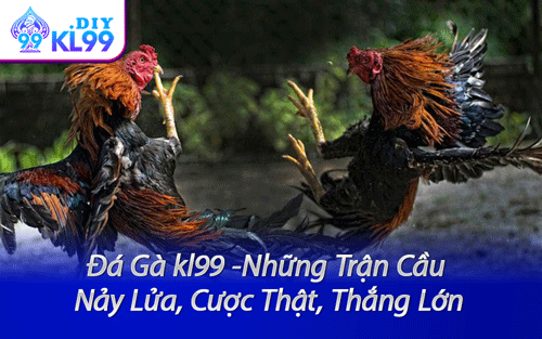 Đá Gà kl99 -Những Trận Cầu Nảy Lửa, Cược Thật, Thắng Lớn